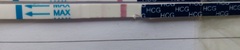 Does this one step look OK for 13dpo ?