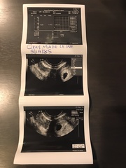 Due September 2022