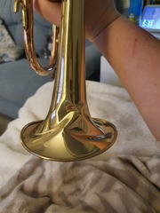 Should they pay to replace it?