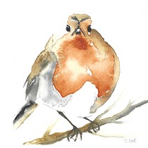 Request for constructive feedback on these watercolours please!