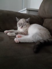 Can we have a ‘I love my beautiful cats’ thread?!