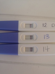 Ttc after miscarriage 🤞🌈✨ lucky thread 3!
