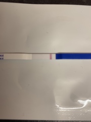 Pregnant