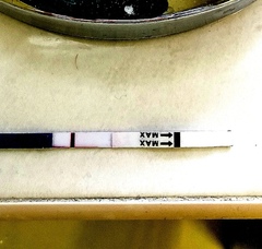 Is this faint positive 8dpo?