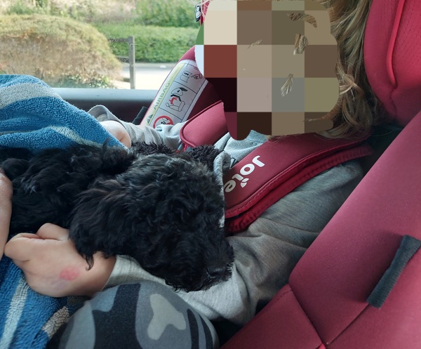 Week 6 - Jan 22 Low Carb Bootcamp