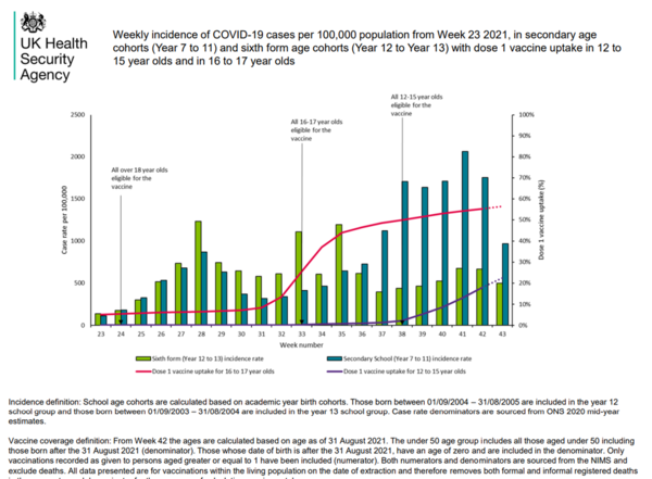 UK 'past the point' where vaccinating young children will do any good