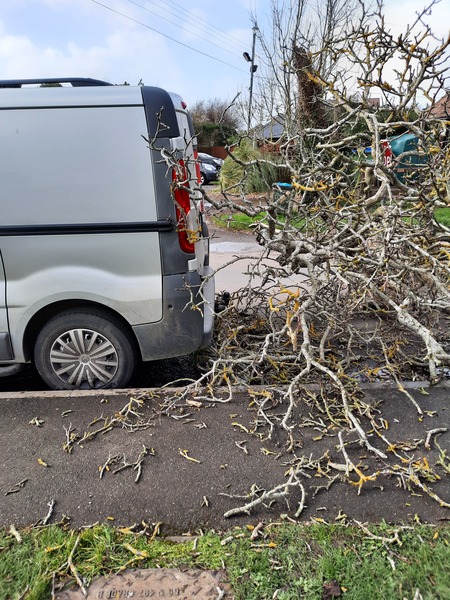 Storm Eunice Part 2.