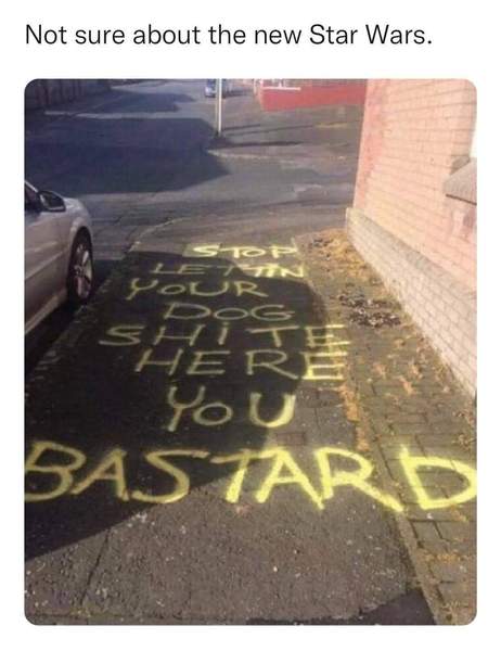 Dog shit all over my drive