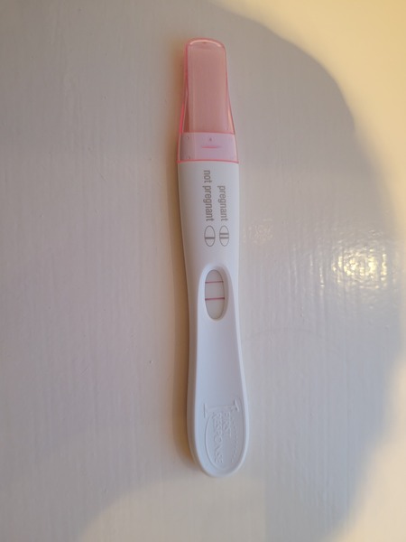 FET November/ December