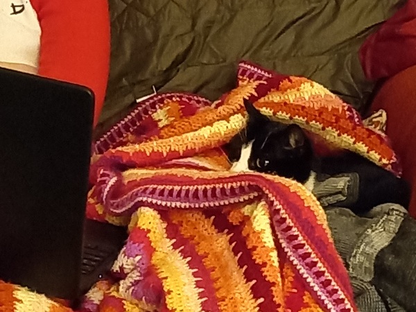 Can we have a 'that can't be comfortable' thread? I need cheering up!