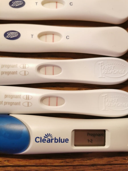 First doc appointment when pregnant
