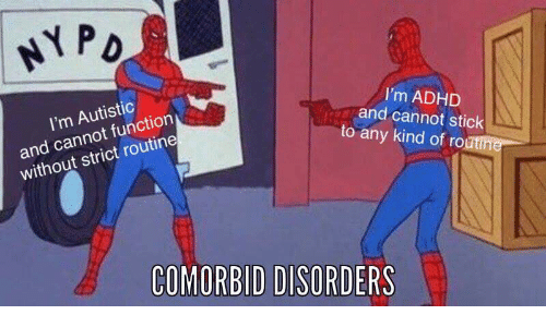 Establishing habits accountability group??