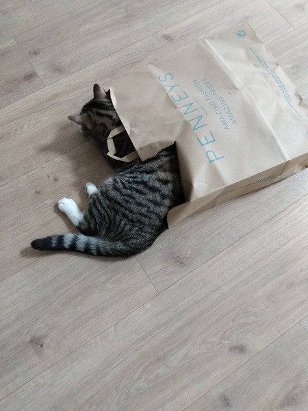 Can we have a 'that can't be comfortable' thread? I need cheering up!