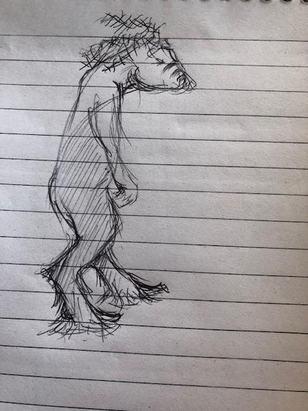 What did we see last night..?