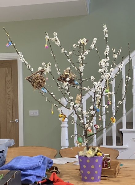 Doe anyone have an Easter Tree ?