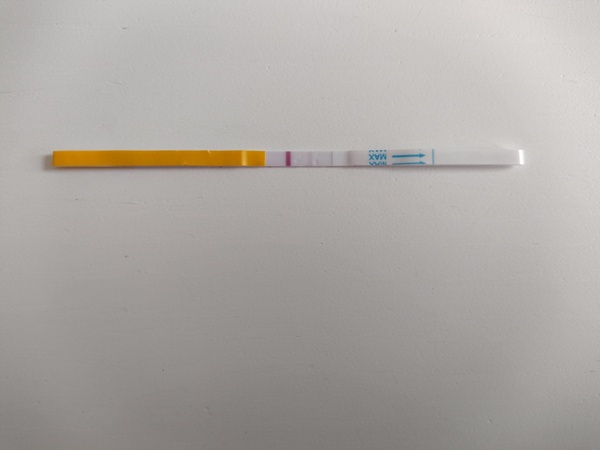 Ovulation test strips