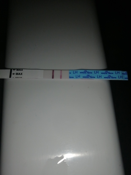 Is it true that a positive ovulation test will show a positive result if you're pregnant?