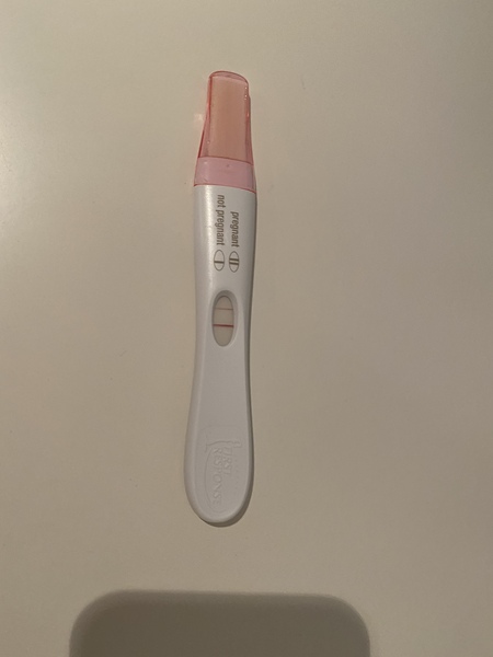 Sperm meets egg plan help!