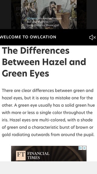 What is my eye colour?