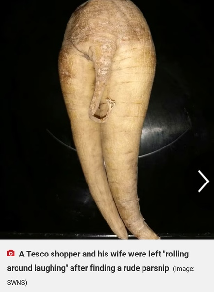 Mystery vegetable