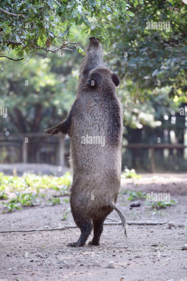 What did we see last night..?