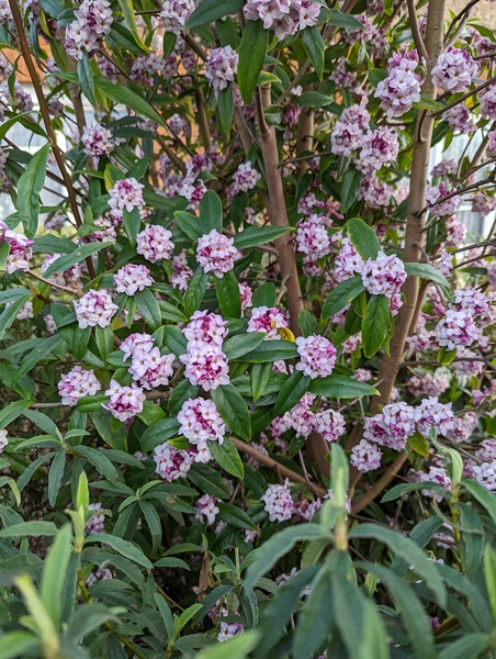 Any Witches Here? Part 16