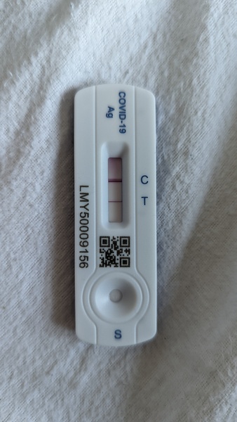 Anyone have covid right now?