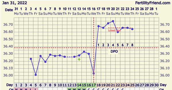 How Reliable Are Ovulation Tests?