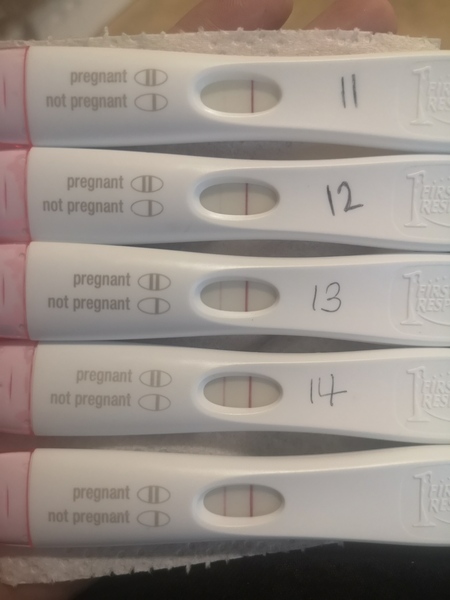 Ttc after miscarriage thread 4 🌈💞✨🤞