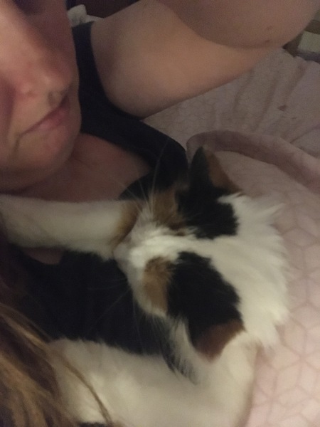 To think this is cruel to keep cats like this