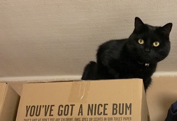 Can we have a 'that can't be comfortable' thread? I need cheering up!
