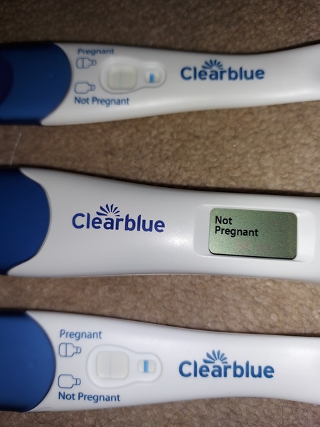 Clear blue evap line