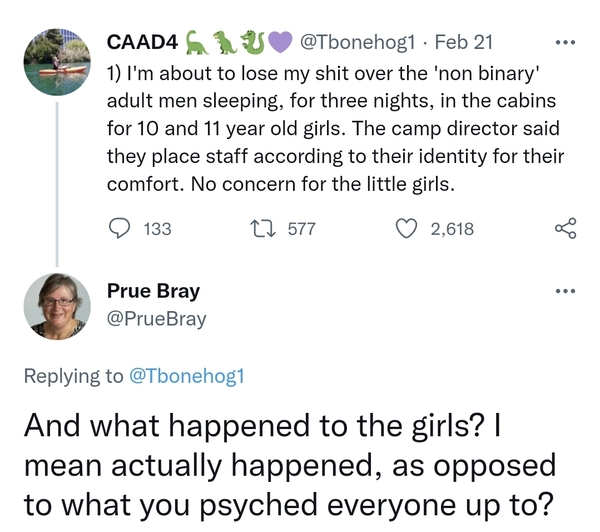 Non binary camp councelor shares cabin with fifth grade girls (Calefornia)
