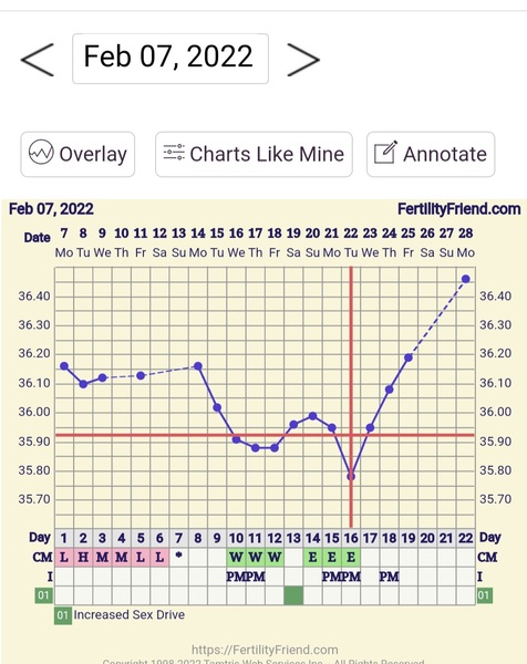 Temp charters help please!