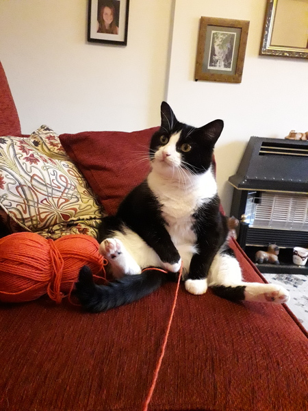 Can we have a 'that can't be comfortable' thread? I need cheering up!