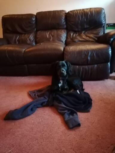 Knit, Crochet and Natter 8: Keep Calm and Carry Yarn!