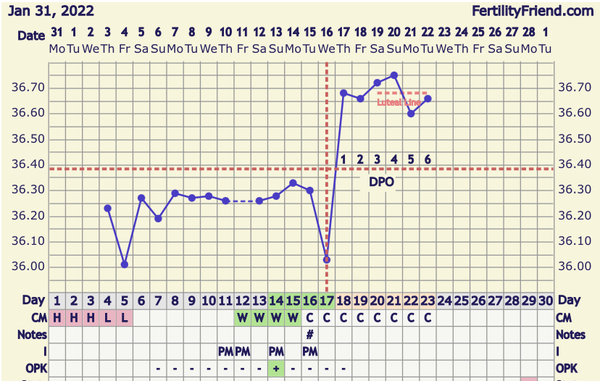 OPKs question
