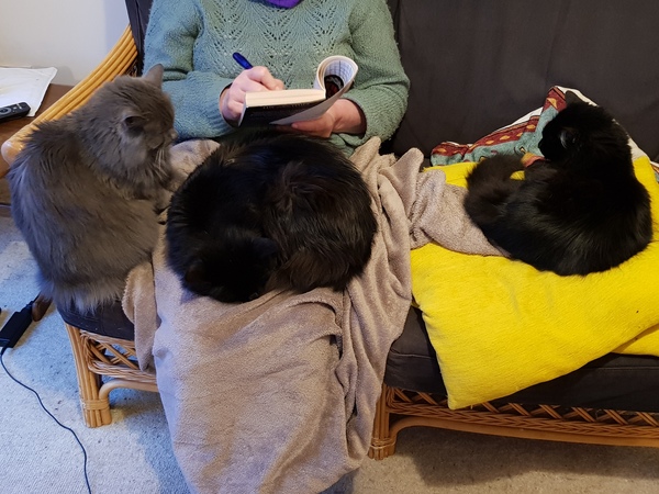 Ollie, Paws, friends and family