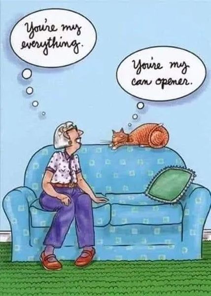 Show me your cats 🐈 😃