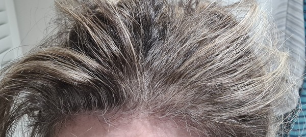 Hairdresser Advice Grey Roots