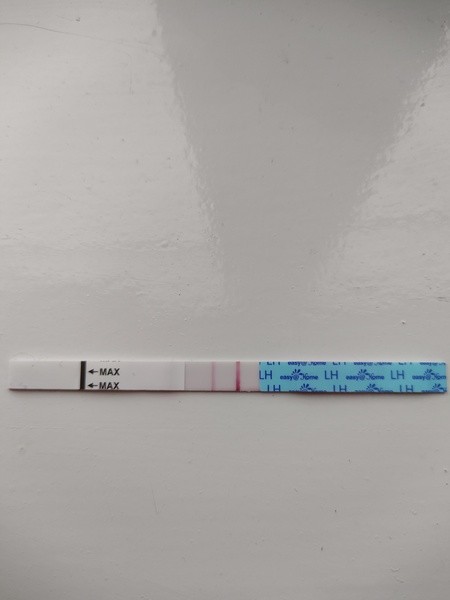 Could I be pregnant?