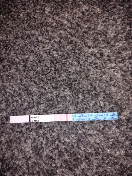 OPK's and Pregnancy?
