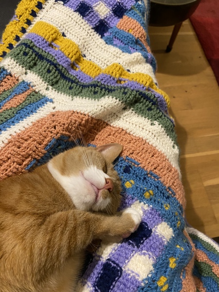 Can we have a 'that can't be comfortable' thread? I need cheering up!