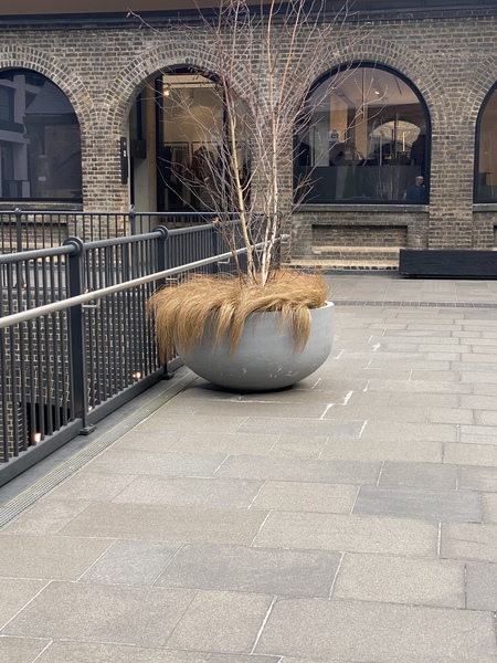 Plant ID! Fabulous planters