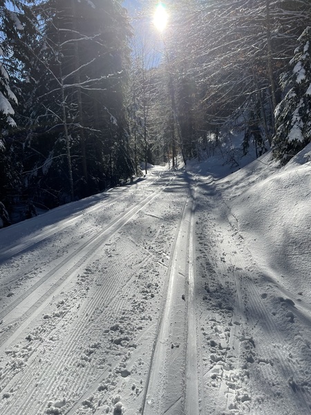 2022: Run, walk, cycle, swim, etc 1000 km/miles or whatever!