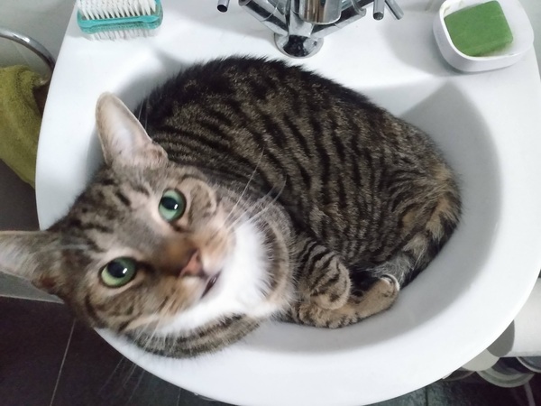 Can we have a 'that can't be comfortable' thread? I need cheering up!