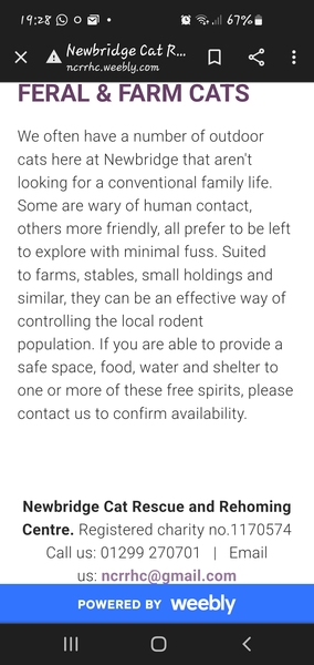 Need Farm Cats