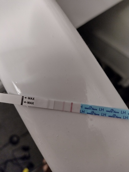 Ovulation test chat, 29/30 day cycles anyone?