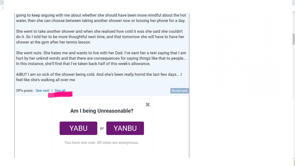 AIBU with my 13 year old daughter?