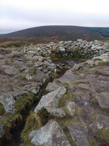 2022: Run, walk, cycle, swim, etc 1000 km/miles or whatever!